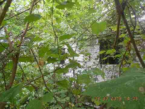 6637 Majestic (4)_m.jpg